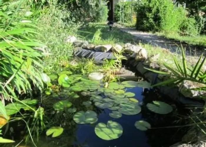 D'hotes Bellevue * カンヌ