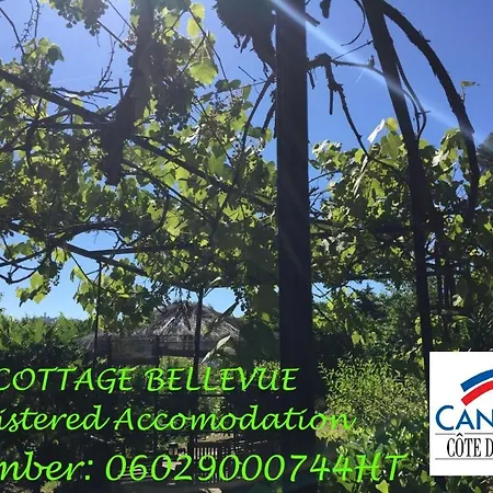 D'hôtes Bellevue Couette-café Cannes