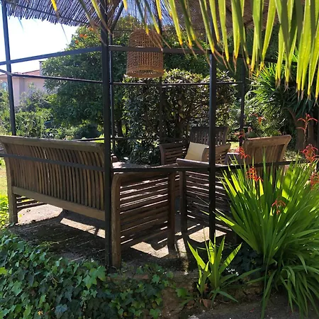 D'hôtes Bellevue * Cannes